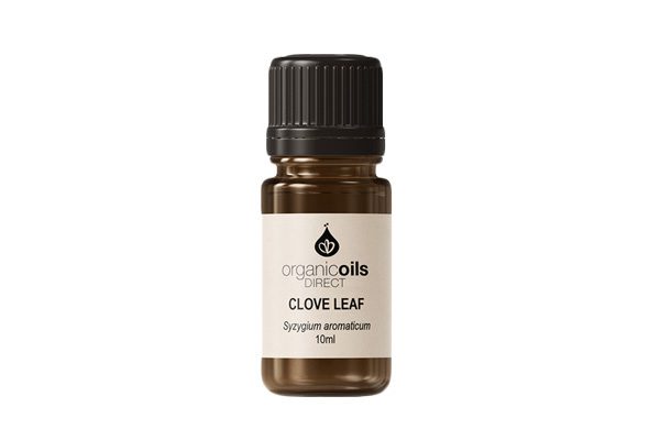 Clove Leaf Organic Essential Oil